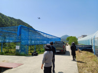 횡성군농업기술센터, 과수 화상병 예찰에 드론 적극 활용