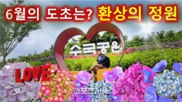 신안군, 도초도에서 “섬 수국축제” 개최