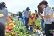 이병선 속초시장, 새싹농장 수확체험 참여