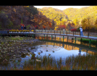 (사)한국사진작가협회 홍천지부, 사진강좌 수강생 모집