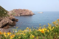 신안군, ‘섬 홍도 원추리축제’ 개최...비를 기다리는 축제