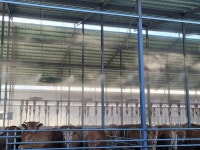 홍천군 “자체생산 미생물, 악취 저감 효과 입증”