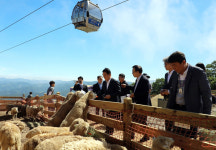 ‘온 가족의 리조트’ 강원랜드, 新명소 ‘하이원 구름아래 동물농장’ 개장으로 매력 추가!