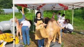 양숙희 도의원, 장마와 무더위 속 봉사활동 ‘구슬땀’