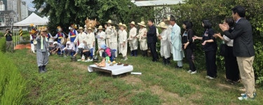 춘천시 동내면 사암2리, 복사꽃 수레마을 풍년 논고사제