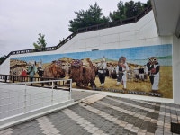 속초시립박물관, 노후 시설물 보완 공사 마무리