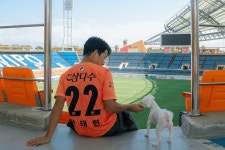 반려동물과 함께 K리그 본다, 제주 ‘놀멍 보멍 멍멍 DAY’ 개최