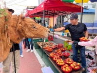 홍천군, 숲의 정령 ‘풍이’와 함께하는 도심 속 정원산책