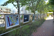 속초시 노학동 행정복지센터, 기후위기 사진전 개최