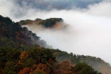 인제읍, 원대리 박달고치 