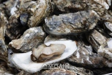 [고흥소식] 고흥군, 2025년 고흥으뜸맛집 31개소 선정