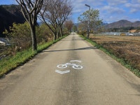 평창군, 자전거 우선도로 노면표시 도색 완료