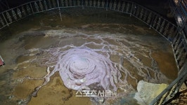 “동해선 타고 삼척으로”…바다와 숲, 동굴에서 만나는 완벽한 힐링①[민지가 간다]