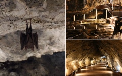 평창군 광천선굴어드벤처테마파크, 경이로운 겨울 풍경으로 관광객 발길 이끌다