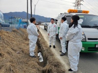 육동한 춘천시장, 구제역 방역 현장점검