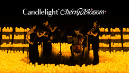 감성 가득 클래식 향연 ‘캔들라이트 벚꽃’, 서울·부산·대구 공연 확정