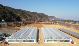 삼척시, 청년농업인을 위한 경영실습 임대농장 임차인 모집