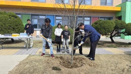 횡성군 수백초등학교, 마을 교육공동체와 식목 행사