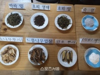 국내 최초 ‘초피열매 양치죽염’ 개발…치주질환서 ‘해방’