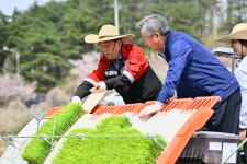 속초시, 2025년 관내 첫 모내기 진행