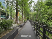 성남시,  야탑1~5교 구간 ‘오야소리길’ 조성