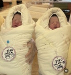 아빠는 곰인데, 아들은 트윈스…‘강승호♥’ 홍지효, 쌍둥이 출산 “럭키·히트 사랑해”