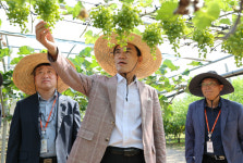 김진태 지사 “농가 일손은 덜고 소득은 높이는 현장 중심 연구에 힘 써 달라”