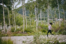 심신의 회복, 태교 여행로 입소문 난 파크로쉬…한국 웰니스 톱티어라 불리는 이유 [원성윤의 인생은 여행처럼]