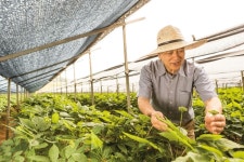 지역 상생이 화두…맥도날드, 이마트, 정관장이 지역을 대하는 방식 [SS초점]
