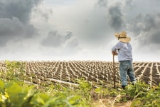 지역 상생이 화두…맥도날드, 이마트, 정관장이 지역을 대하는 방식 [SS초점]
