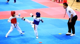 인제군, 2025년 생활체육 강원특별자치도협회장기 태권도 대회