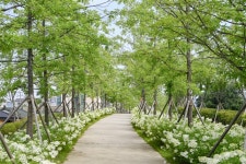 원주시, ‘치악산 바람길숲’ 전 구간 개통!