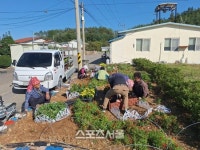 고흥군, 점암면 신전마을  3년 연속 ‘우수 으뜸마을’ 영예!