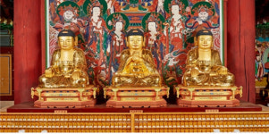 [강원자치도]지정문화유산 5건 신규 지정