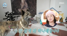 박나래, “초보 엄마 됐다”…할아버지 반려견 복돌이 입양(‘나 혼자 산다’)
