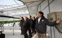 김진태 지사, 양구군 시설원예 농가 한파 대비 점검