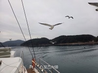봄빛 물든 통영 앞바다, 30년 지기 마리나리조트에서 삶의 쉼표를 찍다 [원성윤의 인생은 여행처럼]