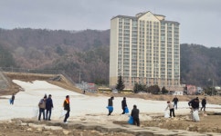 [평창군 3월 13일 읍면소식]진부면·대화면·용평면
