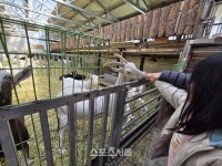 알프스 품은 산양목장부터 365세이프타운까지, 태백의 새로운 청사진 [원성윤의 인생은 여행처럼]