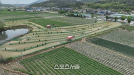 “전국 다 불법인데요?”…걸리면 복구, 수익은 그대로? 파크골프장 불법 운영의 민낯