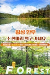 횡성군, ‘소 한마리 먹고가세요’ 프로그램 본격 운영