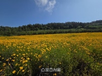 다산의 사유에서 땅끝의 시작으로…남도 코리아둘레길 걷다 [원성윤의 인생여행]