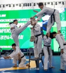 ‘태권도의 역동성과 예술성’ 용인대, 시범경연대회 우승
