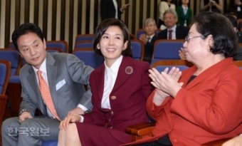 나경원, 첫 여성 외통위장 '화려한 비상'