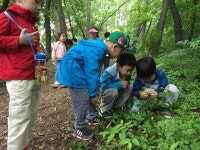 서울시 곳곳에 자연체험 유아숲 2023년 400곳까지 10배 확대