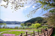 무조건 걷자...5월의 산빛ㆍ물빛은 어디든 진리