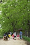 무조건 걷자...5월의 산빛ㆍ물빛은 어디든 진리