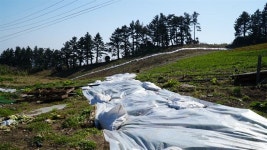 땅 꺼지는 울릉도, 장마 코앞인데 원인 ‘깜깜’