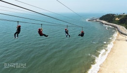 짜릿한 하늘 아찔한 바다…보령 사용설명서 셋
