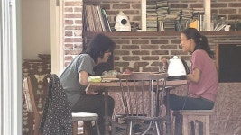 효리네 민박=삼시세끼X윤식당X신혼일기?